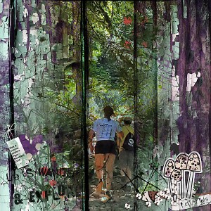 2019 Exploring Tiger Mountain