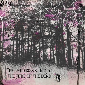 The-veil