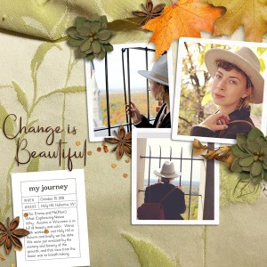 Change is Beautifulv