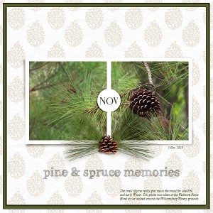 Pine Memories