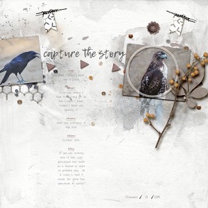 Capture the Story