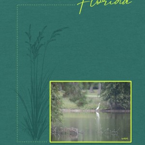Florida