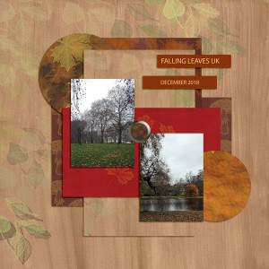 Template-Nov -Kate--Leaves-