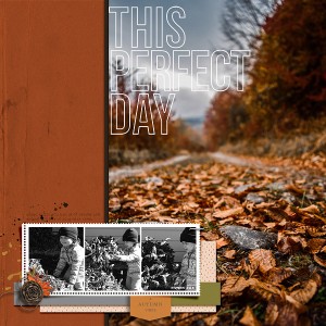 November-scraplift
