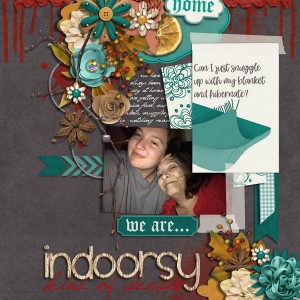 2019Indoorsy