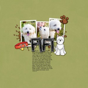 Fifi