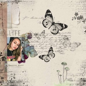 Spring Story