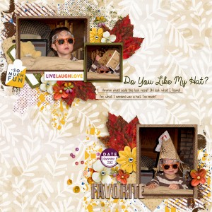 20121109 Do You Like My Hat?