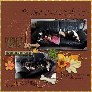 My Couch Potatoes