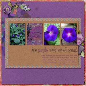 MorningGlory_Scraplift