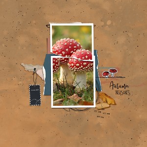 19-11_TLP_November-Style-Challenge-copy