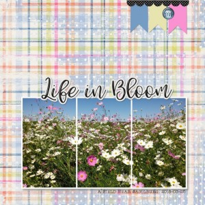 2018-03-26 LifeInBloom