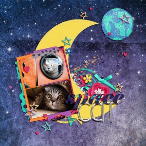 Space Cat