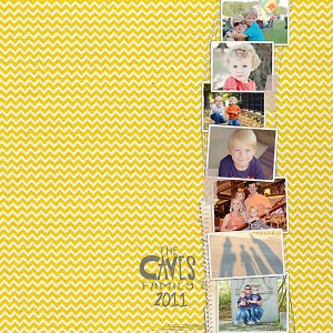 Cover of our 2011 Book
