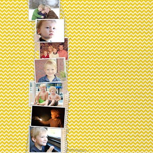 BackCover of 2011 Book