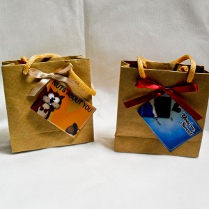 valentines bag