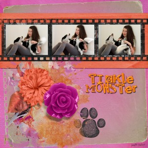 Photography_ticklemonster