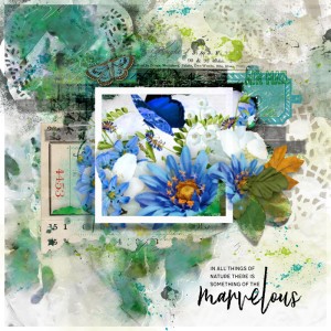 Lily-pad-november-random