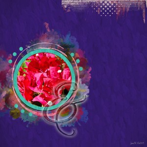 Inspiration_bouganvillea