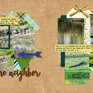 Gator in the Ponds