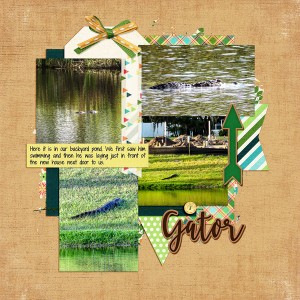 Gator in the Ponds_right
