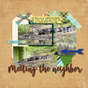 Gator in the Ponds_left