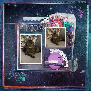 mr mao cat