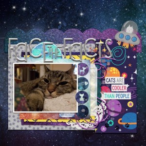 cat facts