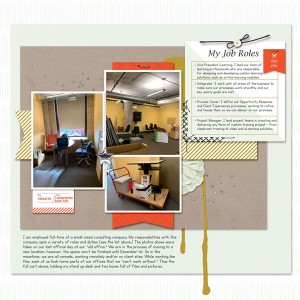 Robin's_Work