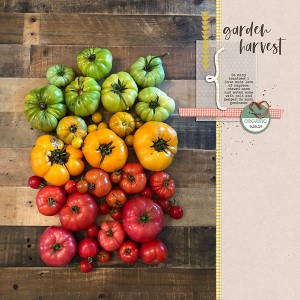 Tomatoes!
