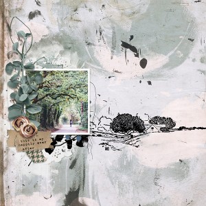 Eucalyptus