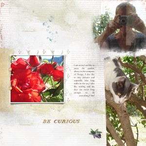 Journaling challenge_Nov.2019