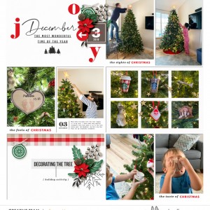 12.3.18-Decorating the tree