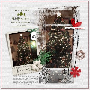 Feels of Christmas