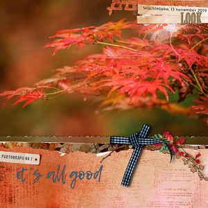 19-11_TLP_November-Random-Challenge-copy