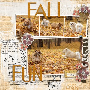 Fall Fun