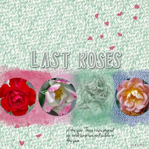 Prd_lastroses