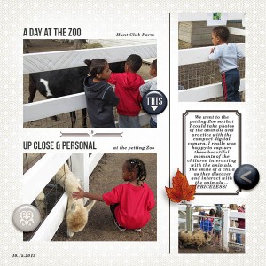 At the Zoo