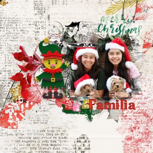 Merry Christmas