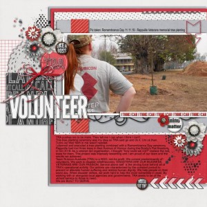 Volunteer