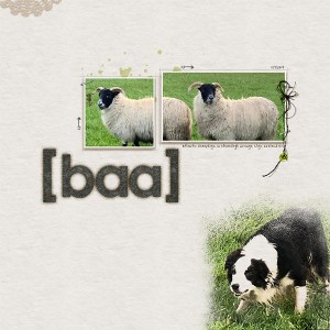 Baa