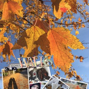 11novemberwalks