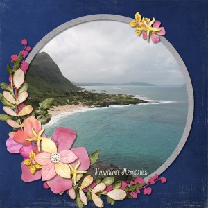 Hawaiian Memories