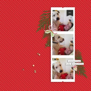Nov.Photography Challenge.MERRY EVERYTHING