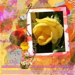 Yellow Rose