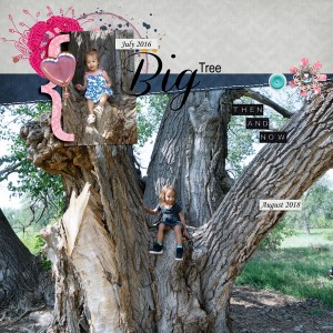 Big-tree-1-lp-temp
