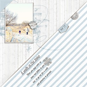 A Walk In The Snow