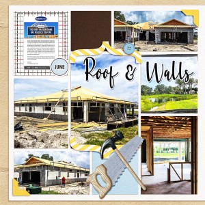Roof and Walls_left