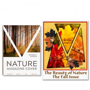 Nov Month Muse Week 1 Magazine Inspiration