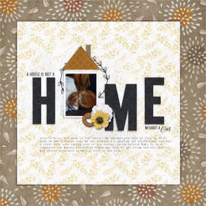 XL Slow Scrap - Nov 19